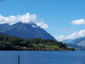 Berner Oberland Am Thunersee